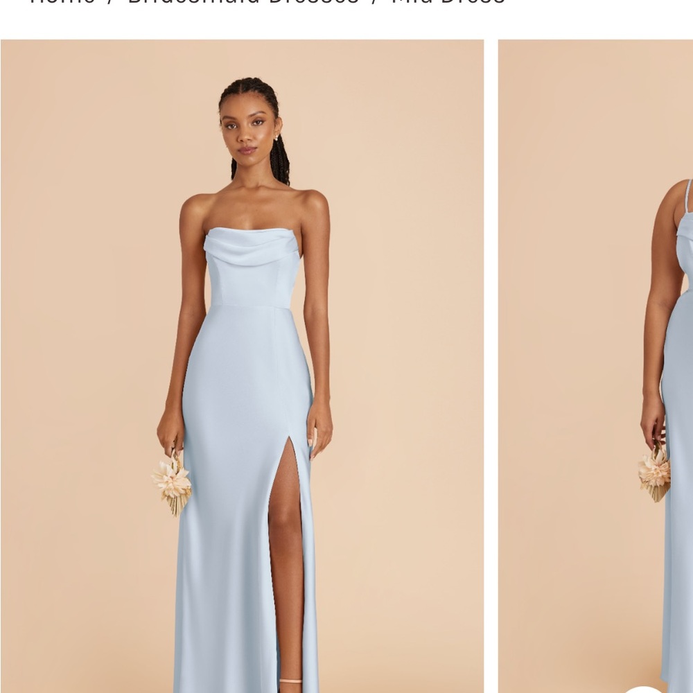 Birdy Grey Mia Misty Blue Gown